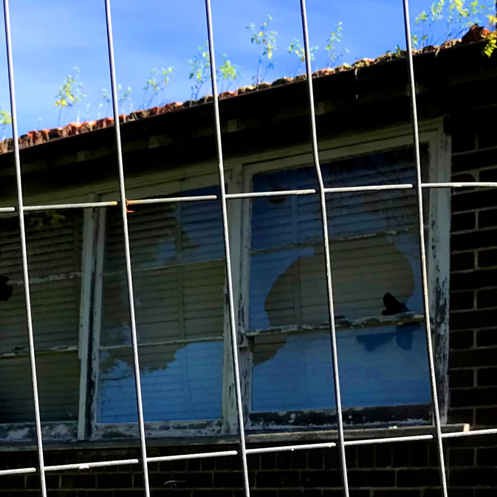 View of a dilapidated window behind a metal fence, with broken panes and overgrown plants on the roof under a clear blue sky.