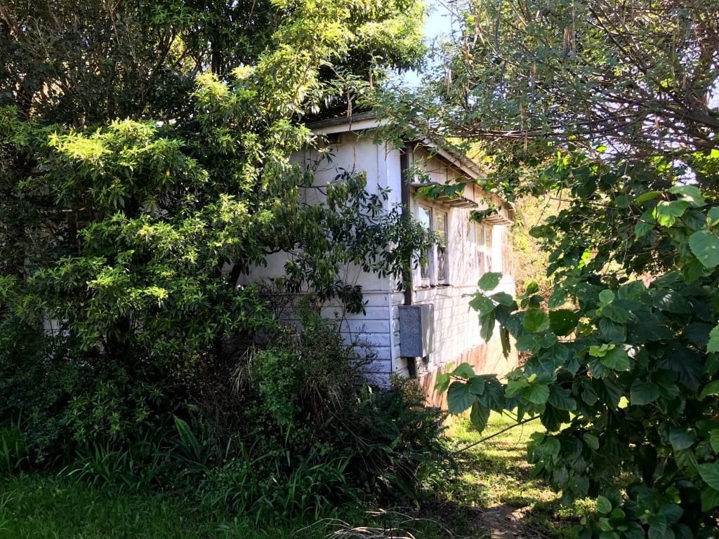 A partially obscured abandoned house surrounded by overgrown vegetation, showcasing a neglected property within the Sydney area.