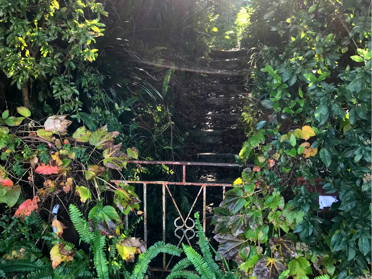 How will I ever find a&nbsp;home?