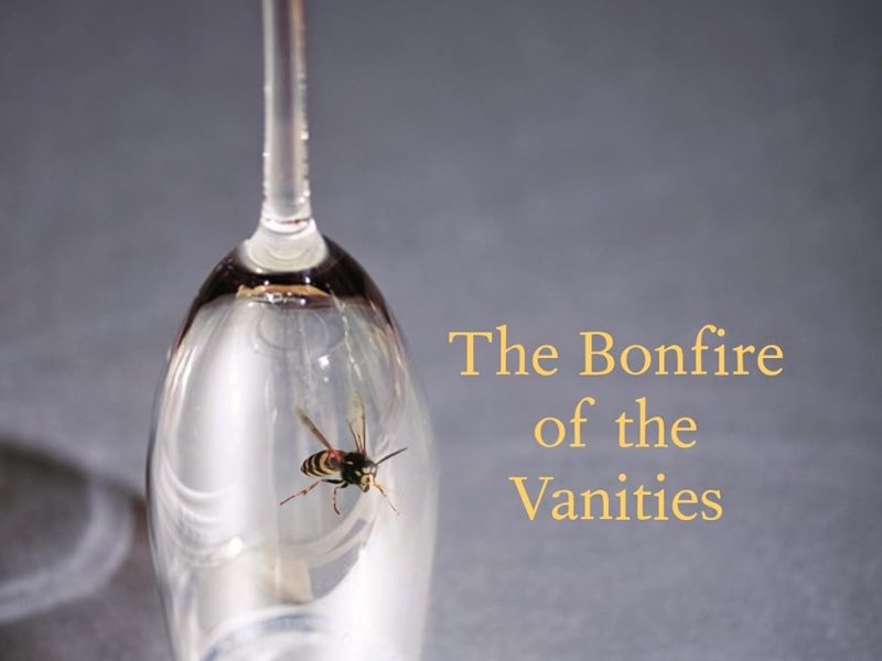 The bonfire of the&nbsp;vanities