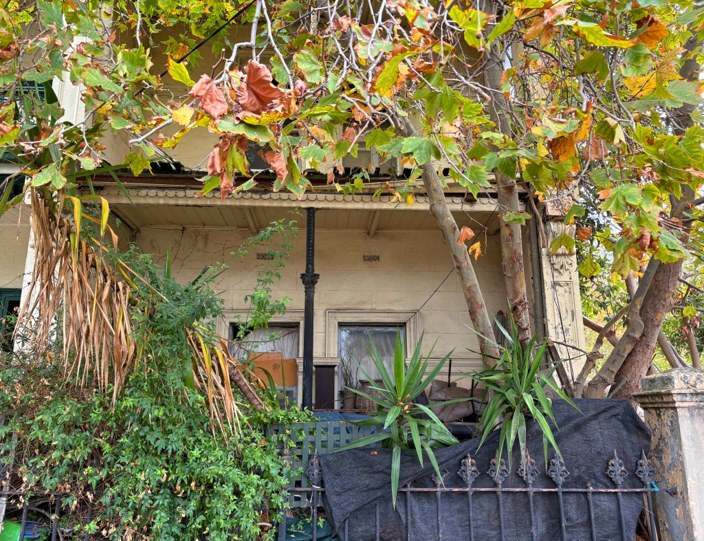 A partially obscured view of a vintage house surrounded by overgrown foliage and trees, with autumn leaves scattered among the greenery.