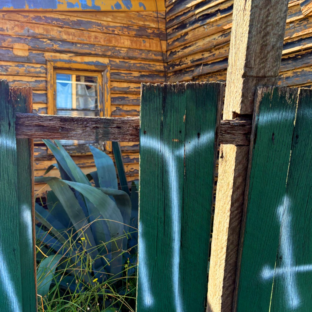 Close-up of a weathered green fence with graffiti, revealing a rustic wooden house with peeling yellow paint and a window in the background, surrounded by tall green plants.