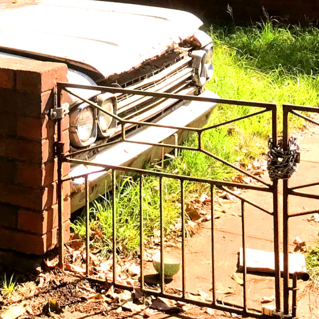 An abandoned car partially hidden behind a rusted gate and overgrown grass, with sunlight casting shadows on the scene.