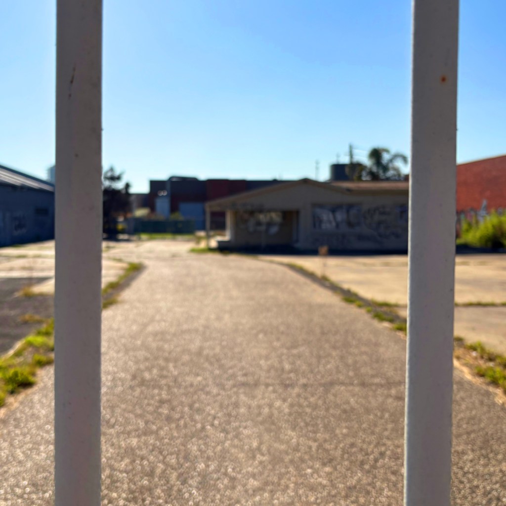 A view through a metal fence at an abandoned, overgrown lot, with a partially visible building in the background under a clear blue sky.