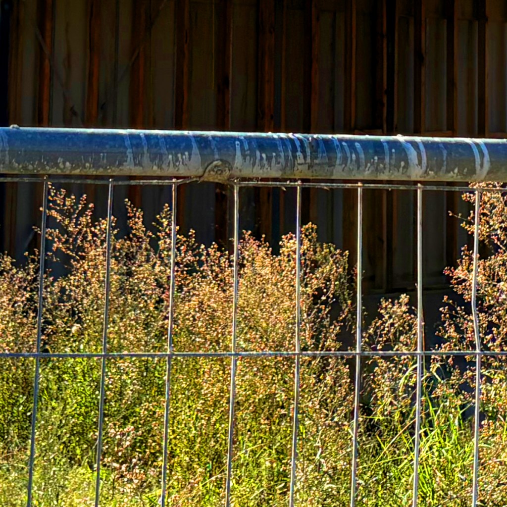 Close-up of a metallic fence with wild grass and small shrubs in the background, set against a wooden structure.